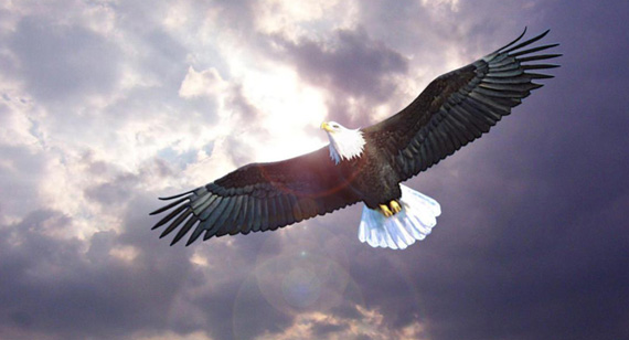 itb8888通博(中国区)官方网站