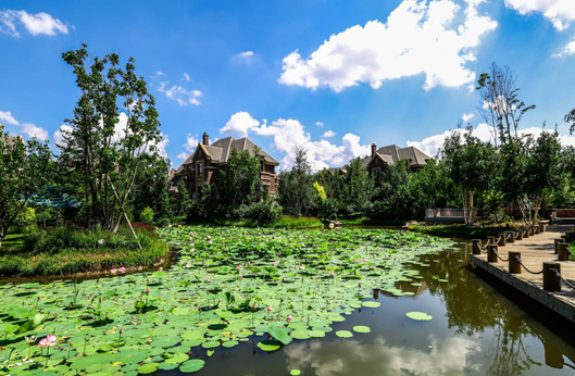 itb8888通博(中国区)官方网站