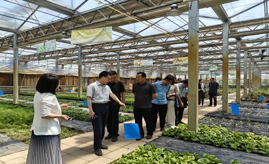 2024年6月27日，中国绿色食物生长中心相关向导莅临农业总公司考察调研_副本.jpg